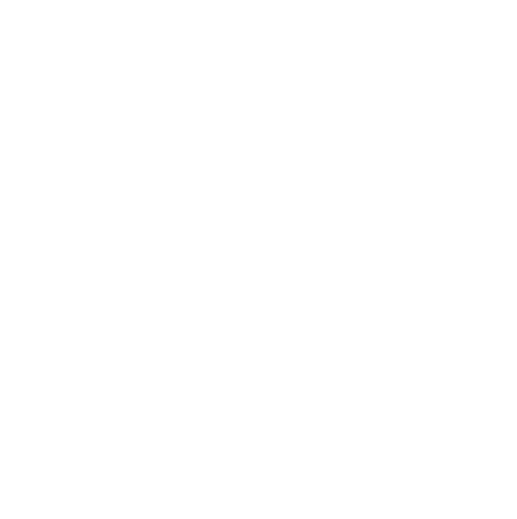 Crazy Bull